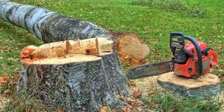 Best Lawn Dethatching  in Sitka, AK